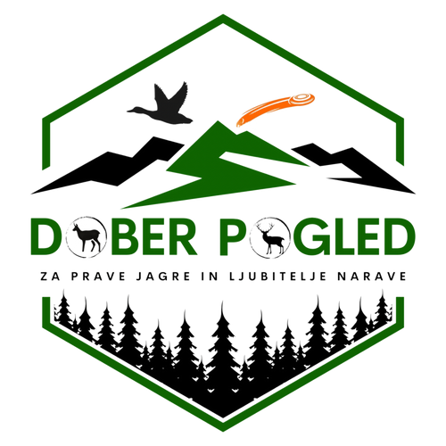 Dober pogled