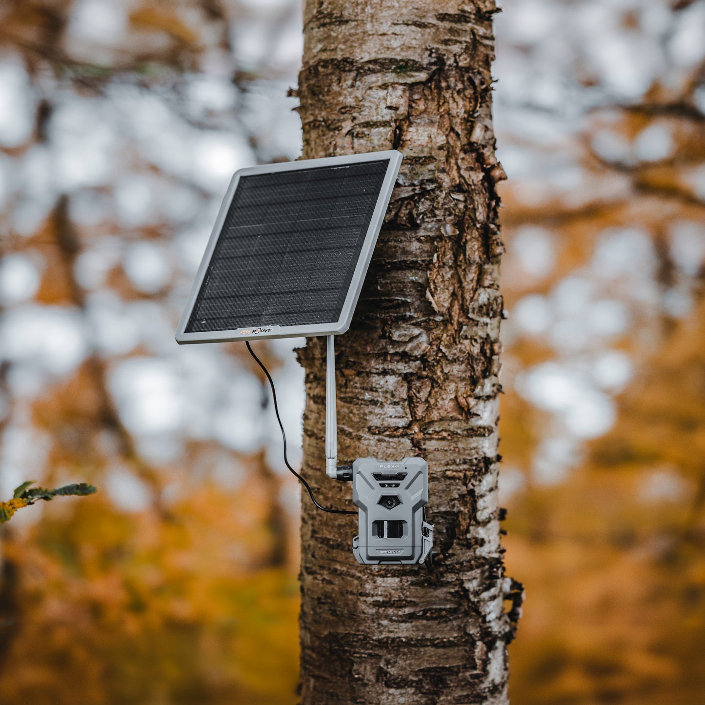 Lovska kamera SPYPOINT FLEX-M+solarna baterija