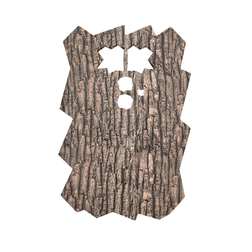 Minox DTC 460 Trail Camera